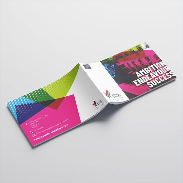 Booklet printing bulk